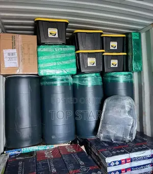 Professional Customs Clearing Agency (Tema)