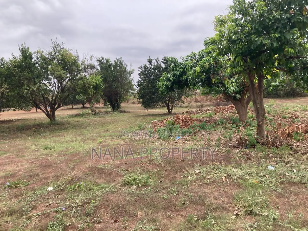 Six Plots of Land for Sale Located at Adenta Oyarifa Kuotaam