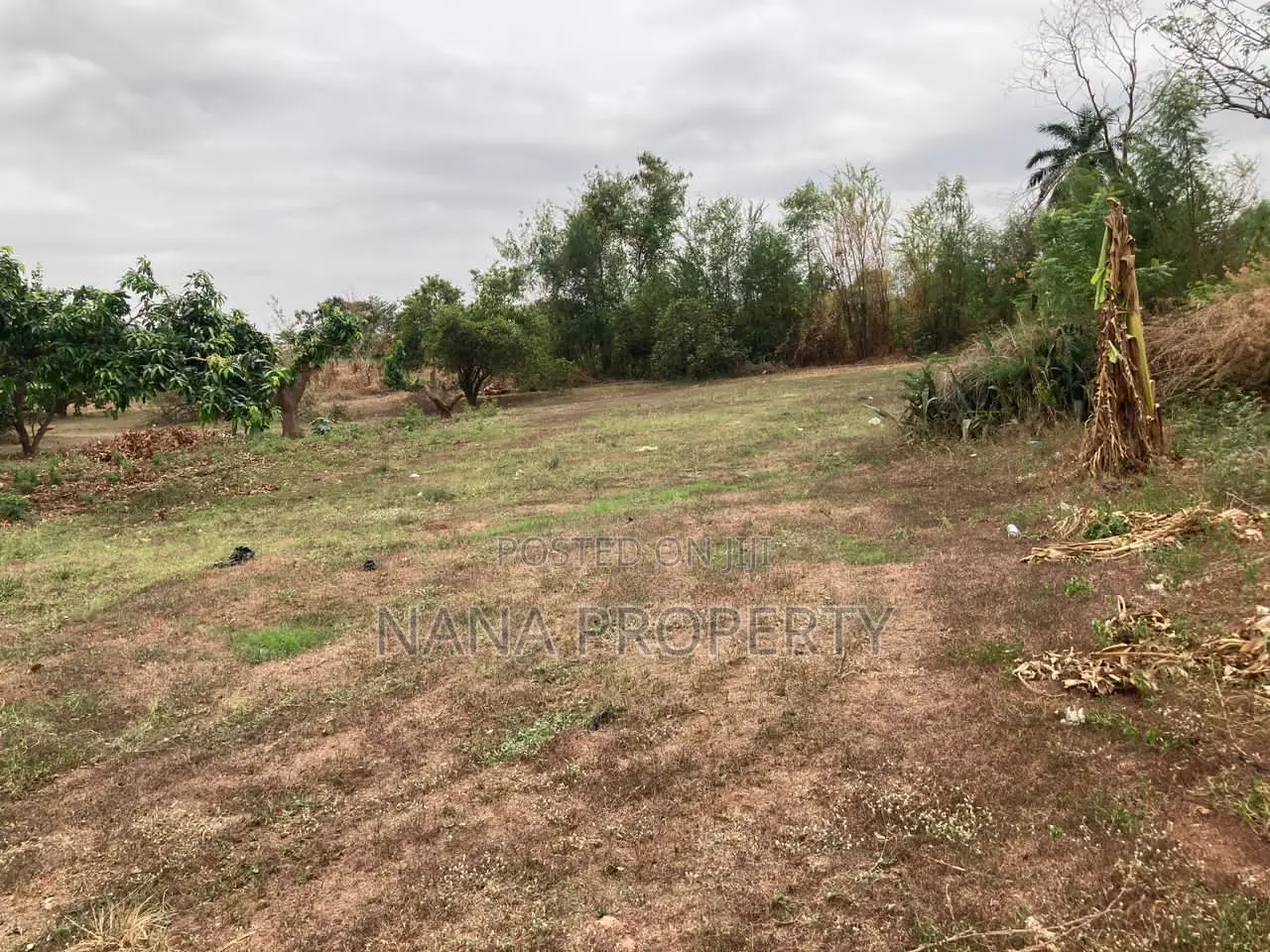 Three Plots of Land for Sale Located Adenta