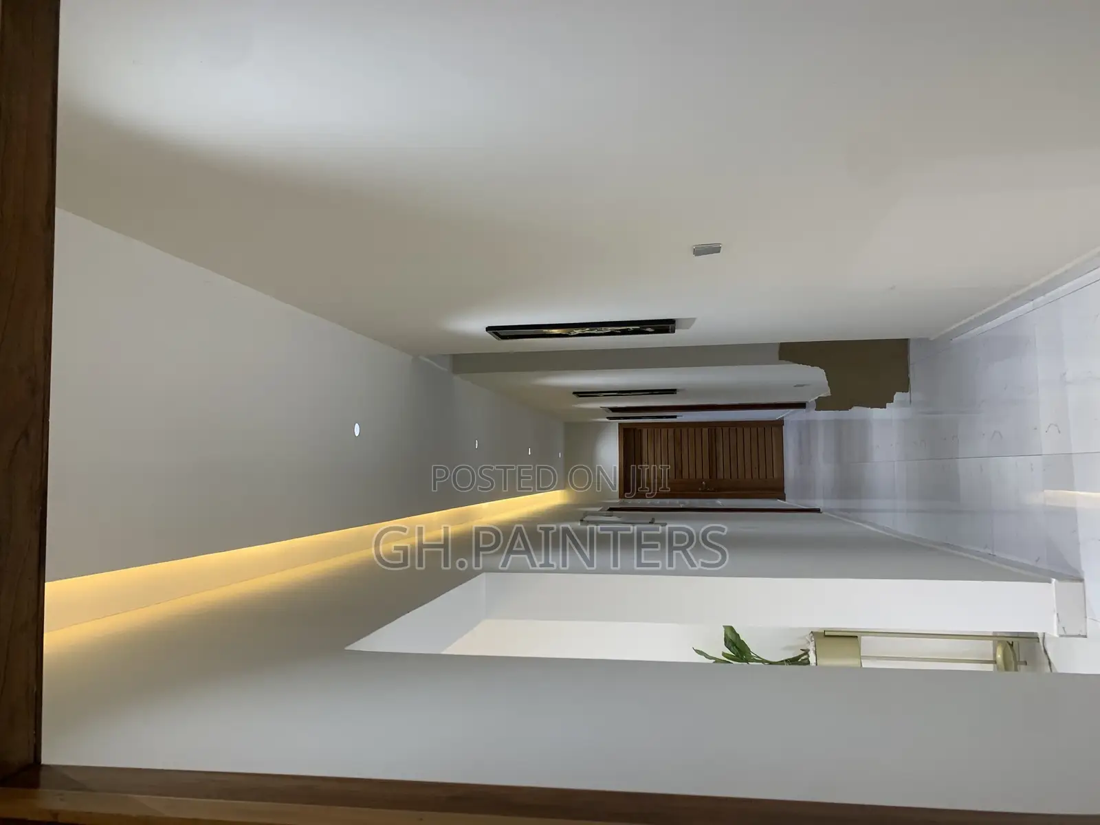 Professional Painters