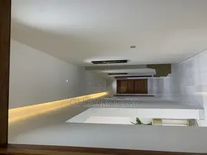 Professional Painters