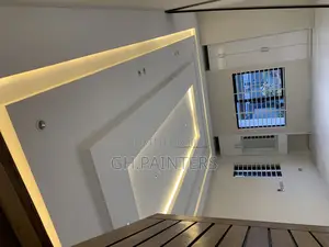 Professional Painters