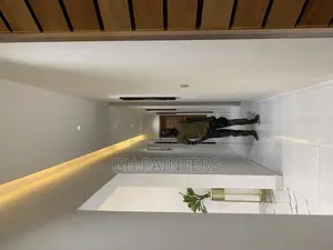 Professional Painters