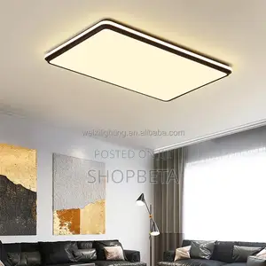 2024 Modern Hall Light
