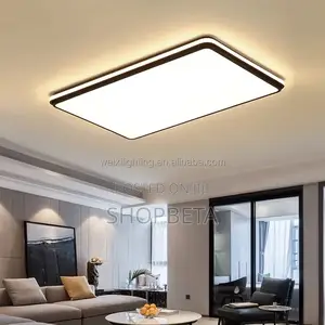 2024 Modern Hall Light