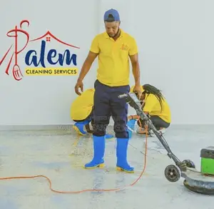 A Professional Cleaners