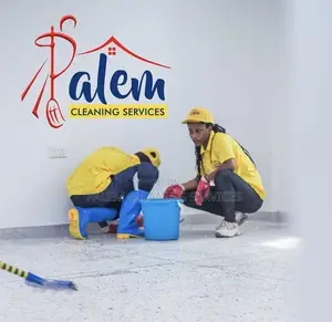 A Professional Cleaners