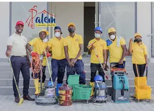 A Professional Cleaners