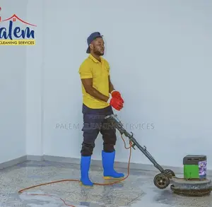 A Professional Cleaners