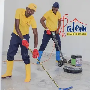 A Professional Cleaners