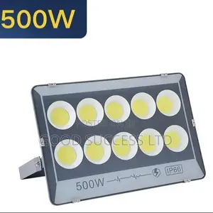 500w Flood Light