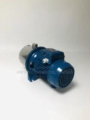 Pentax Water Pump (PM65 0.7HP)