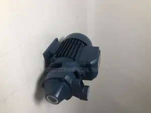 Water Pump (Lucky Pro MKP100)