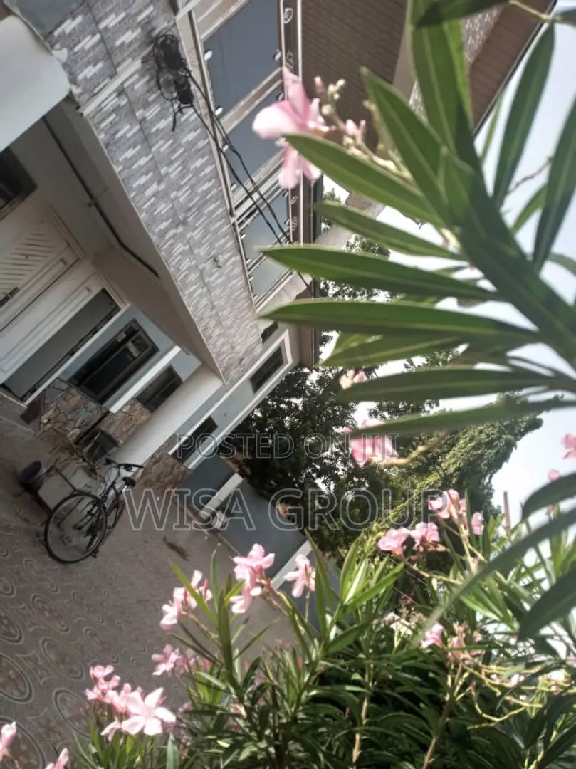 1bdrm Apartment in Wisa Groups, Accra Metropolitan for rent