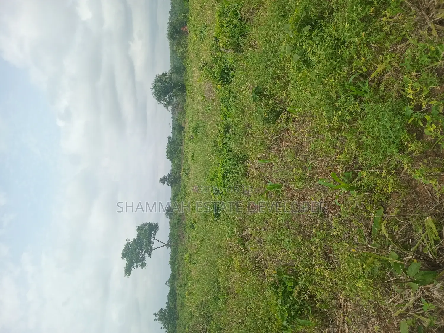 Farm Land for Sale