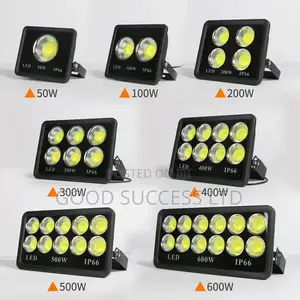 600w Flood Light