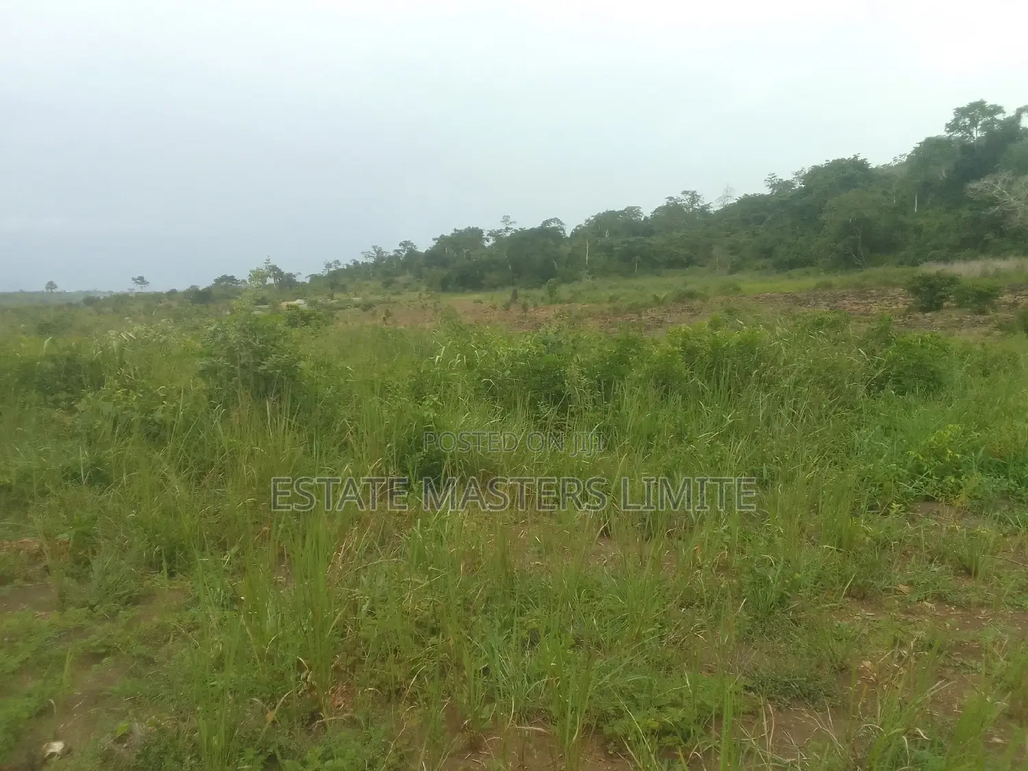 Registered Plot of Land at Prampram for Sale.