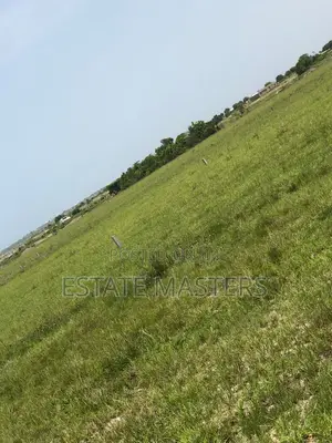 Lands! Lands! Lands!
