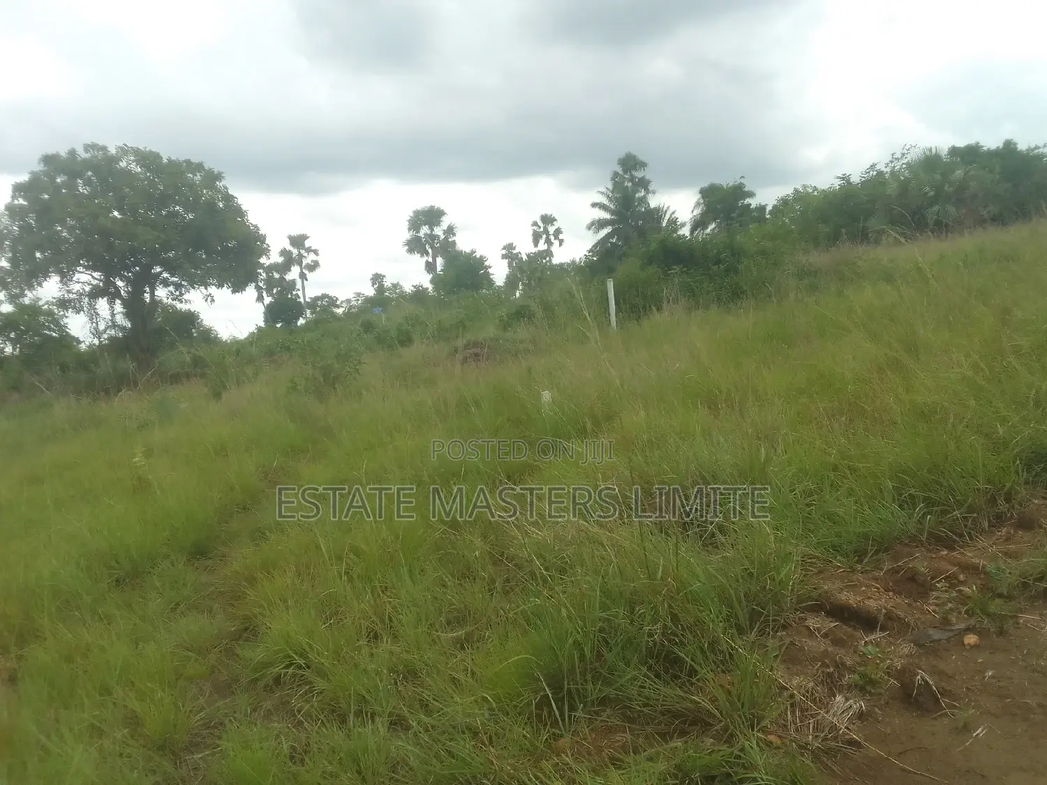 100×100 Plot of Land for Sale at Prampram Lakpleku.