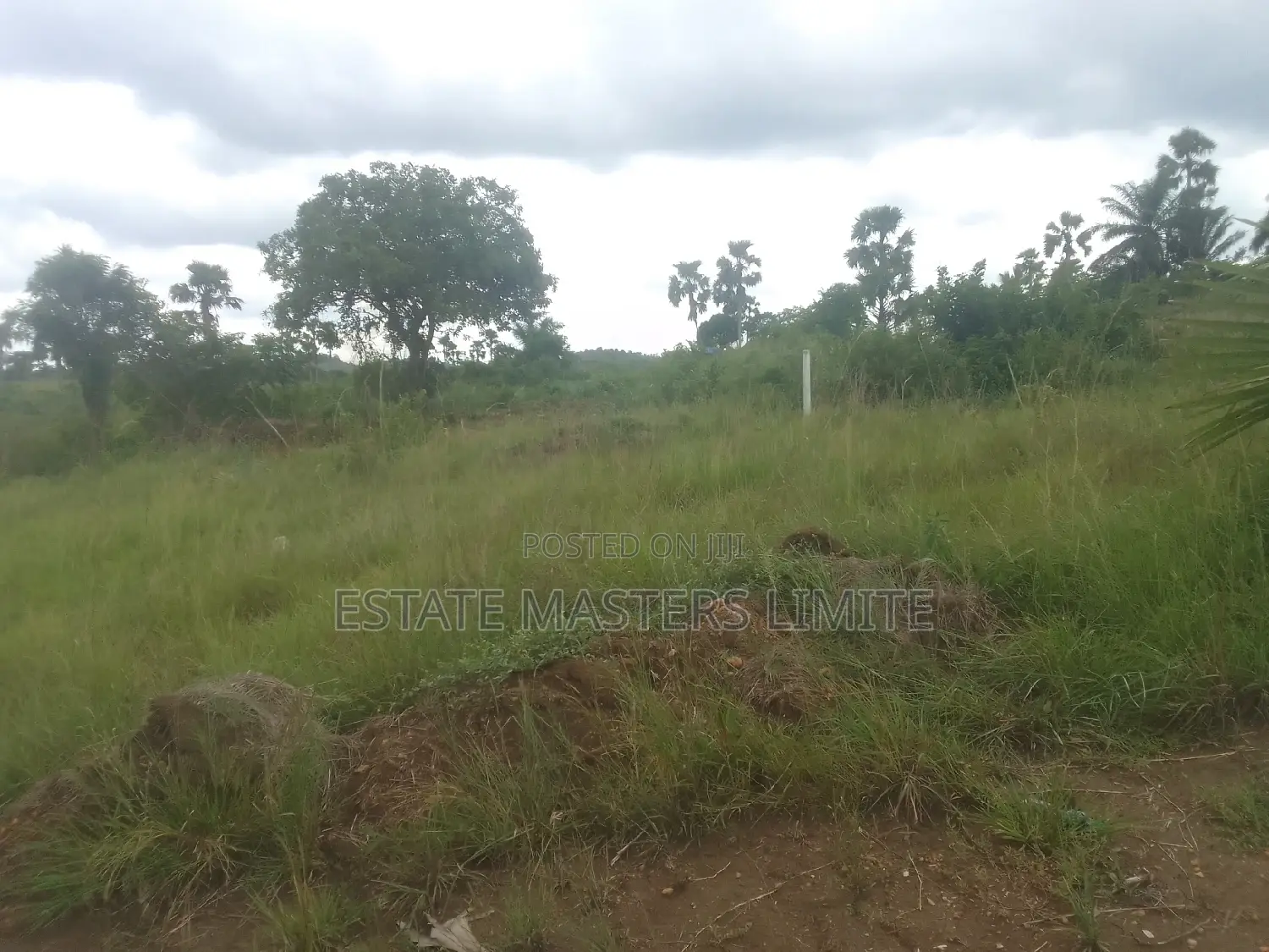 Registered Tsopoli Land for Sale