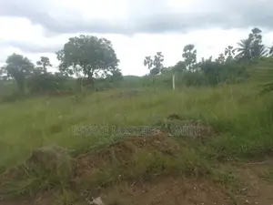 Registered Tsopoli Land for Sale
