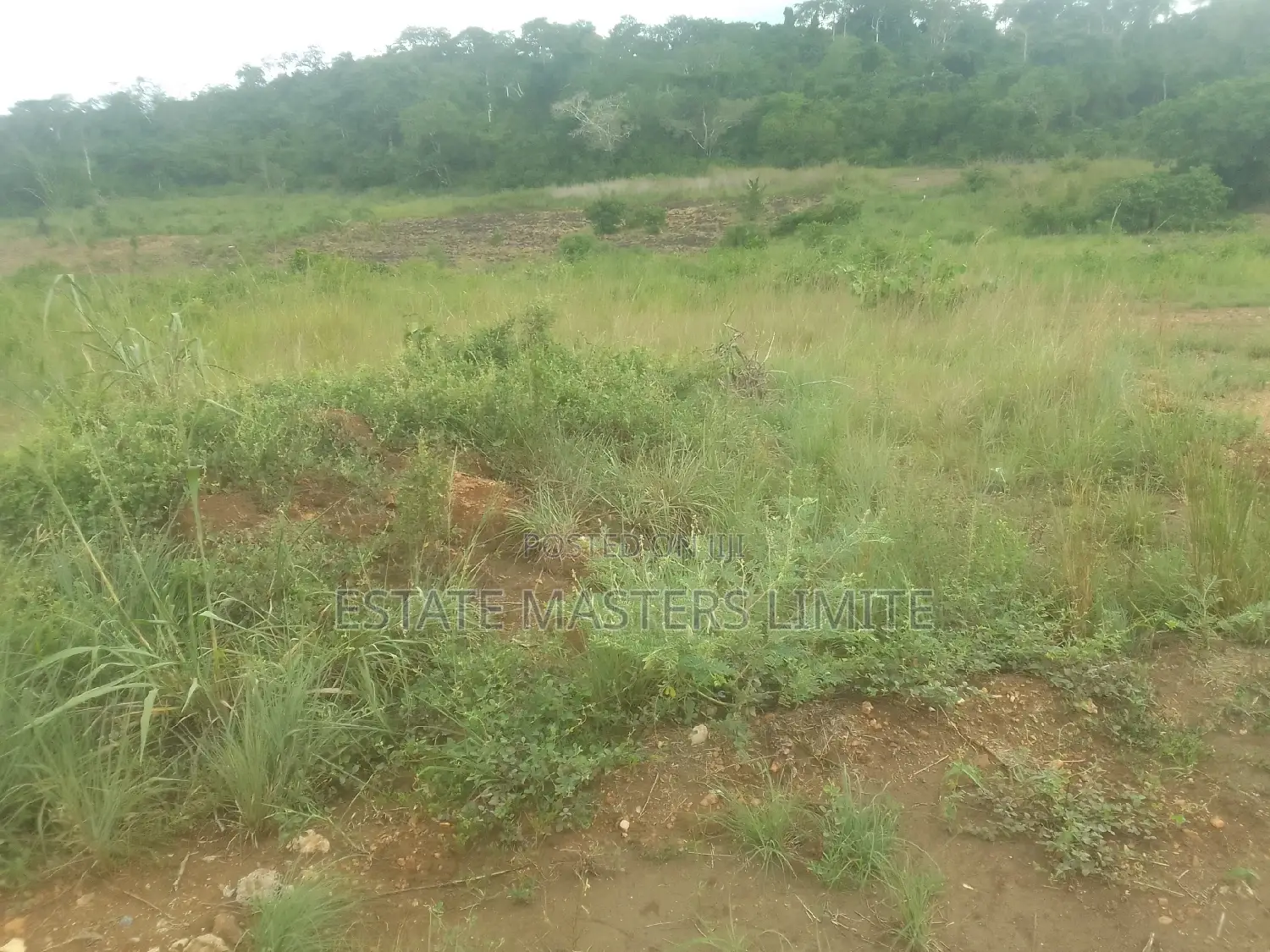 Litigation Free Plot for Sale at Tsopoli