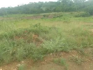 Litigation Free Plot for Sale at Tsopoli