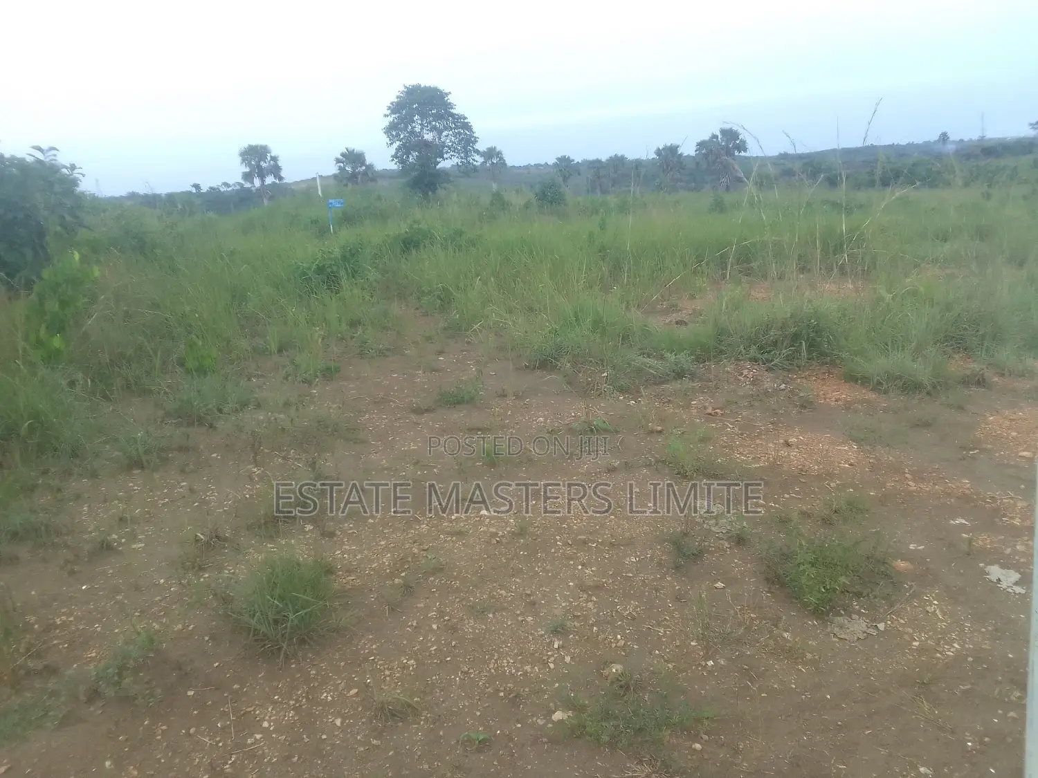 100×100 Genuine and Registered Land at Tsopoli for Sale.