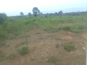 100×100 Genuine and Registered Land at Tsopoli for Sale.