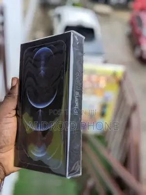 New Apple iPhone 12 Pro Max 256 GB Black