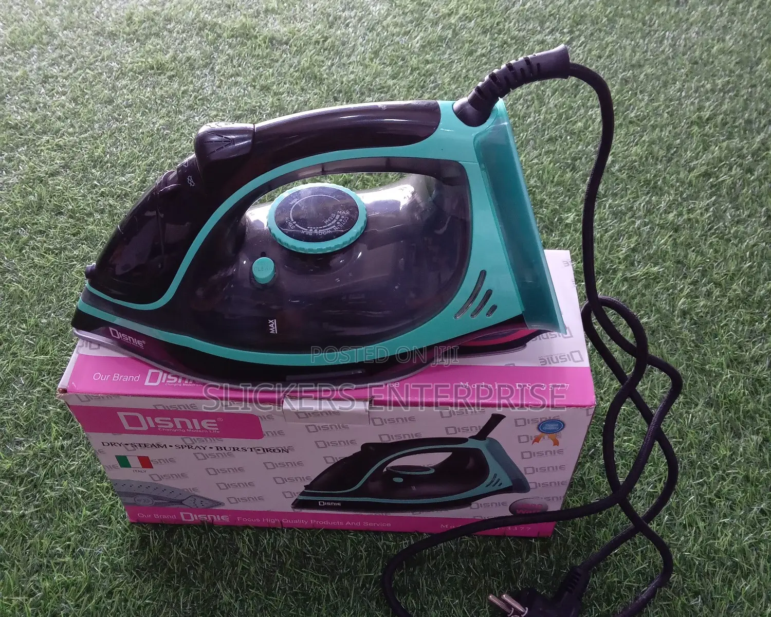 Disnie Steam Iron