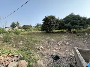 Free Hold 3 Plot of Land for Sale at Dansoman