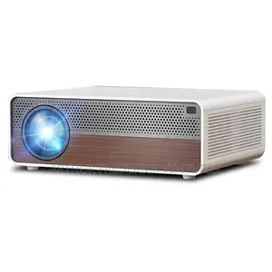  Projector