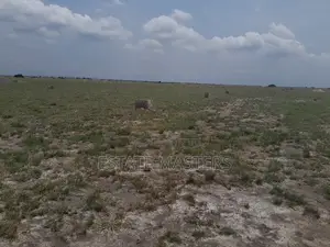 Verified Plot for Sale