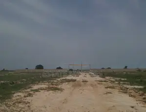 Legit Demarcated Plots Available for Sale