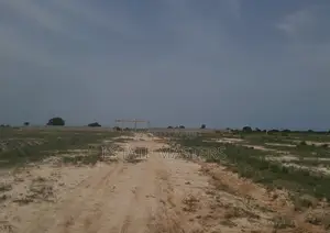Legit Demarcated Plots Available for Sale
