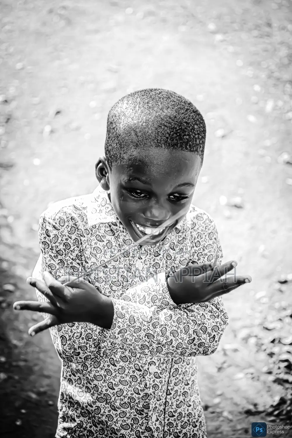 Photography Services