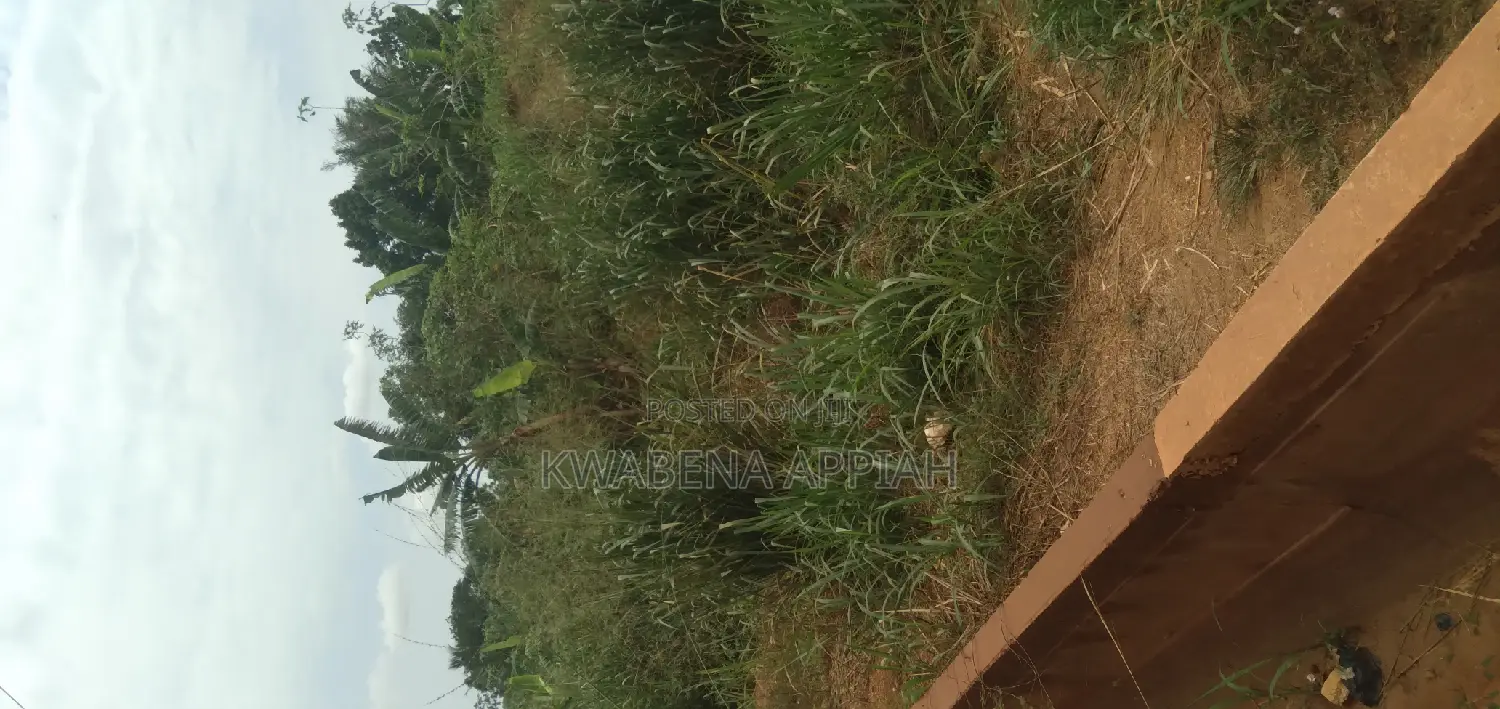 One Archer Plot of Land at Abrankese Areas