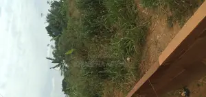 One Archer Plot of Land at Abrankese Areas