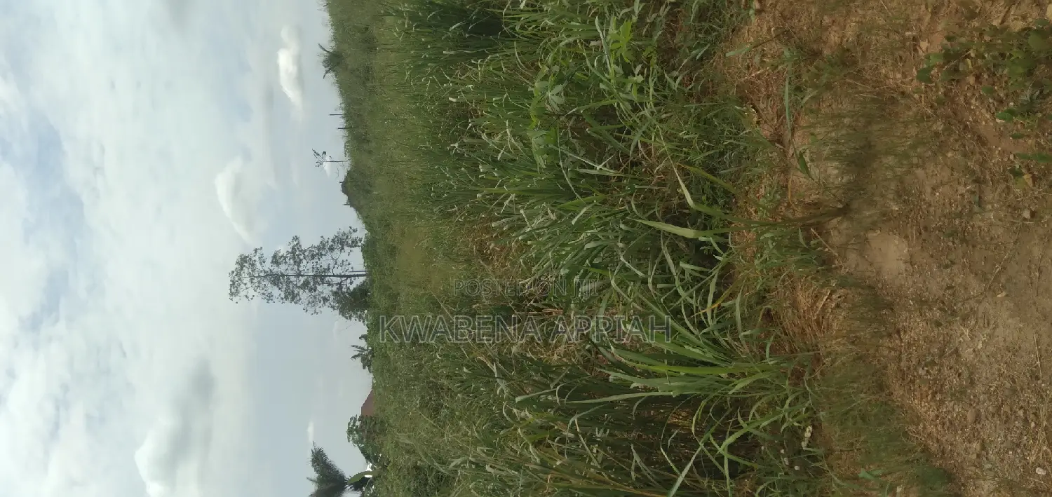 One Archer Plot of Land at Abrankese Areas