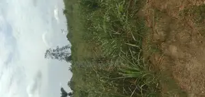 One Archer Plot of Land at Abrankese Areas
