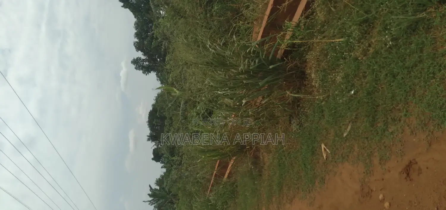One Archer Plot of Land at Abrankese Areas