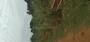 One Archer Plot of Land at Abrankese Areas
