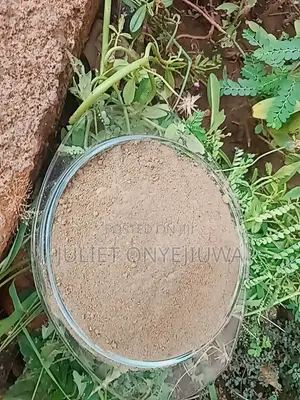 Undiluted Ambunu Powder Hair Conditioning and Detangling