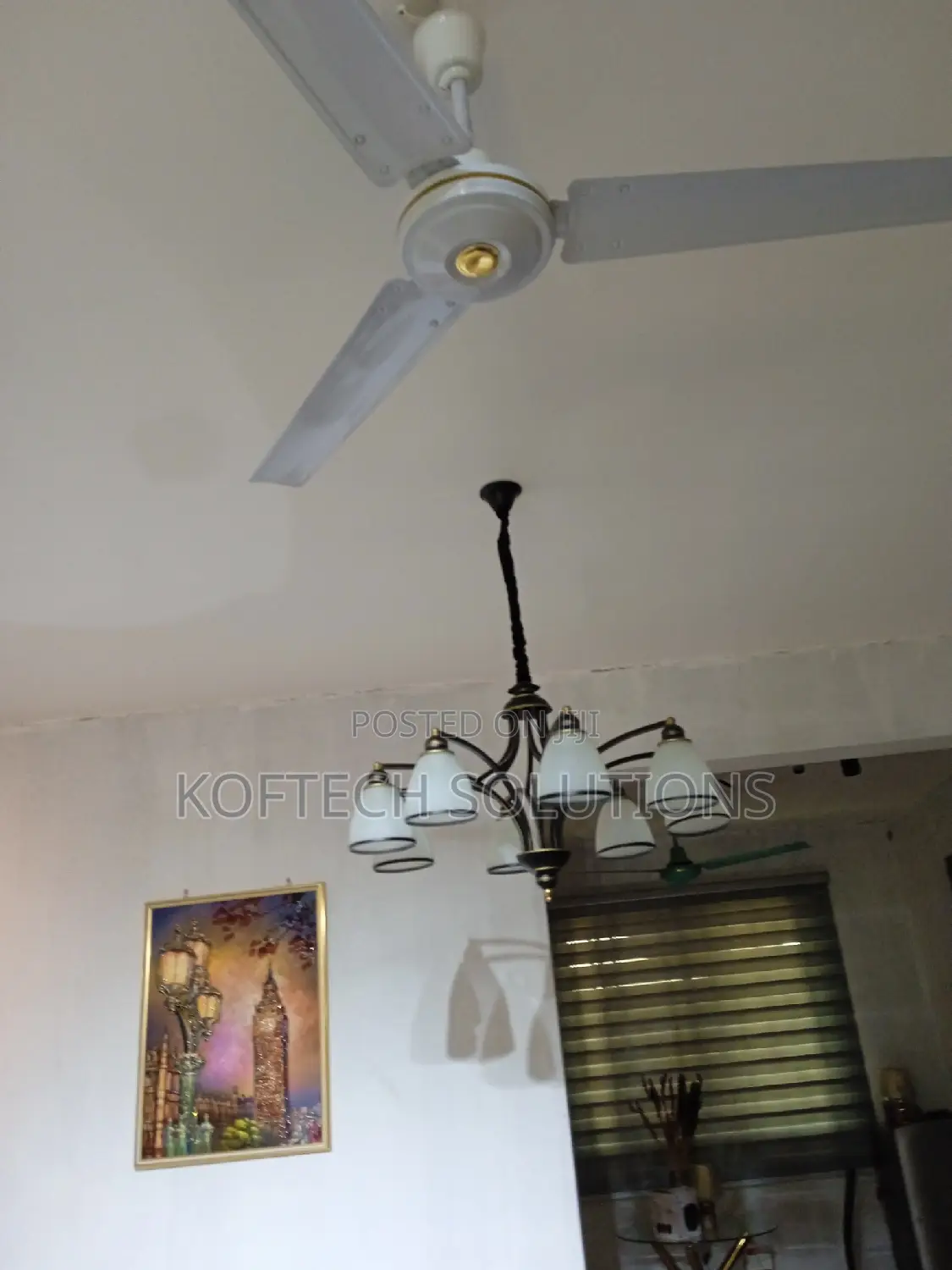 Professional Electrician