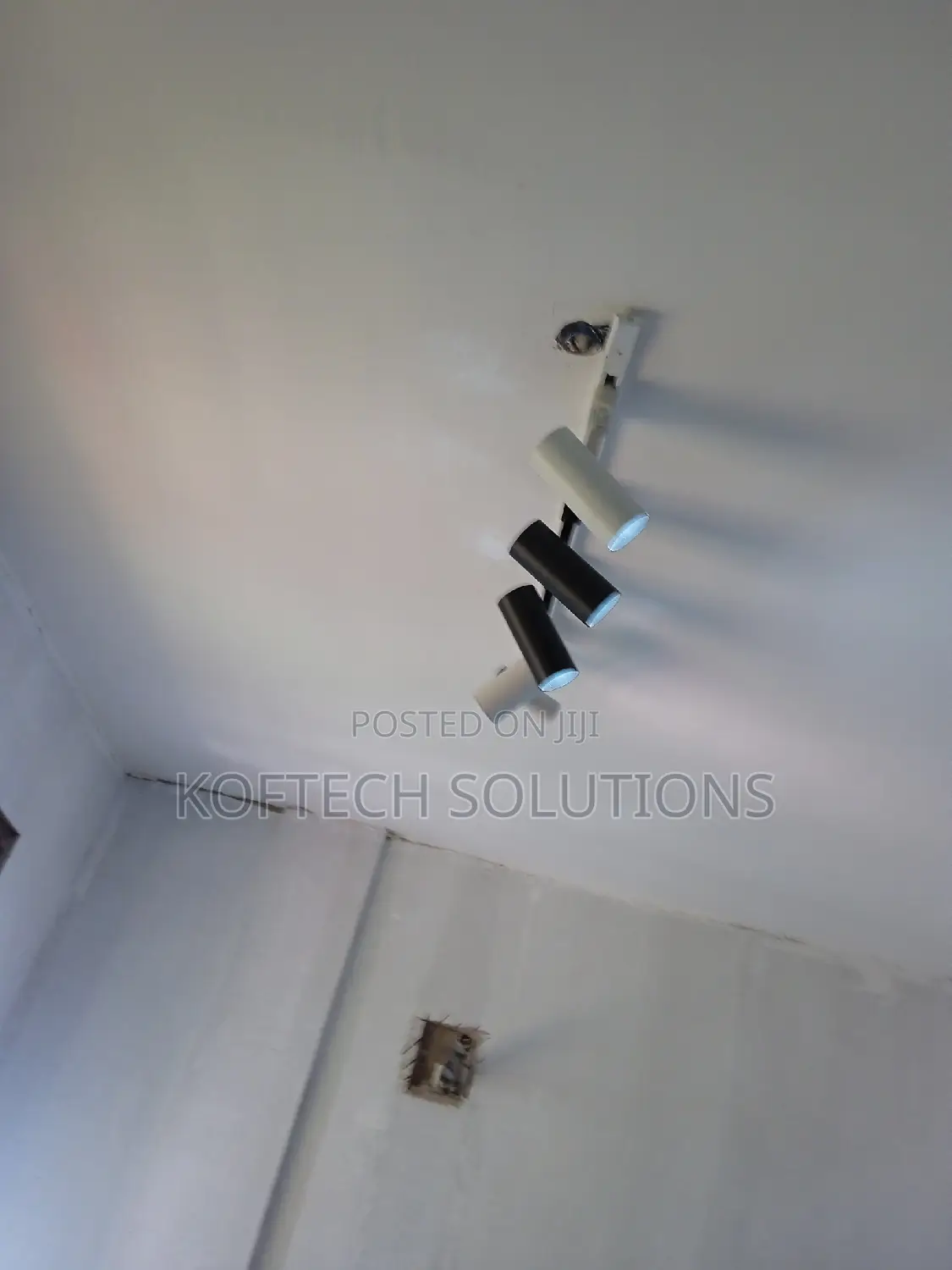 Professional Electrician