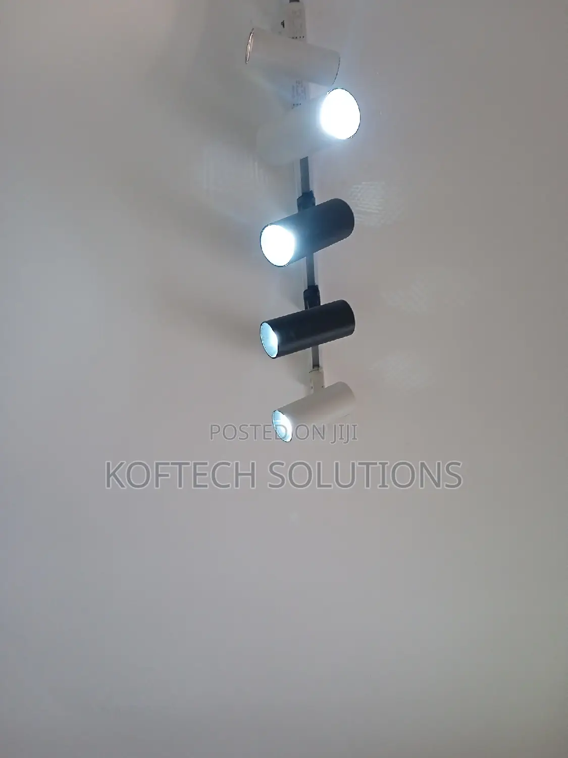 Professional Electrician