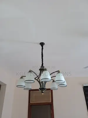 Professional Electrician