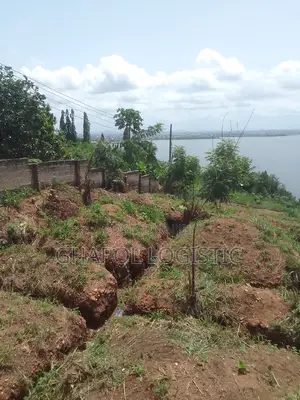 Land in New Bortianor