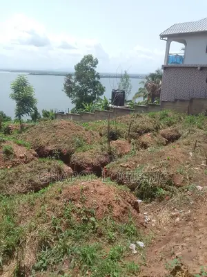Land in New Bortianor